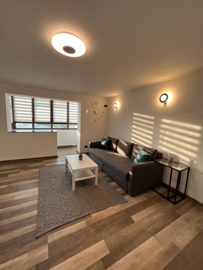 Sunny Luxury Home G. Enescu Szucsáva Kültér fotó