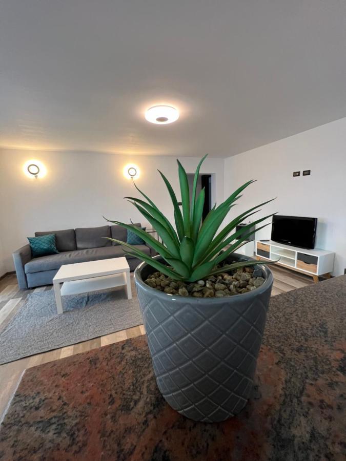 Sunny Luxury Home G. Enescu Szucsáva Kültér fotó